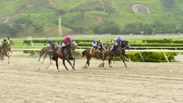 Mira lo que le pasó al jinete de My Feeling Mate después de la carrera Mira lo que le pasó al jinete de My Feeling Mate después de la carrera