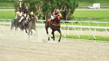 INH sanciona con multa a este jinete de La Rinconada por esta razón INH sanciona con multa a este jinete de La Rinconada por esta razón
