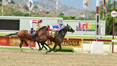 Jinete es multado en La Rinconada por esta acción Jinete es multado en La Rinconada por esta acción
