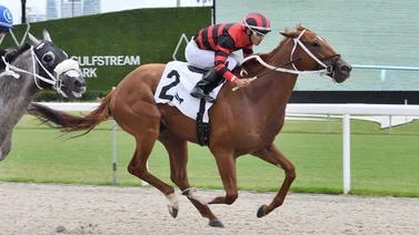 Jockey boricua se titula campeón en este hipódromo de Estados Unidos