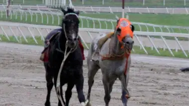 Conoce el parte médico del jinete Larry Mejías Conoce el parte médico del jinete Larry Mejías