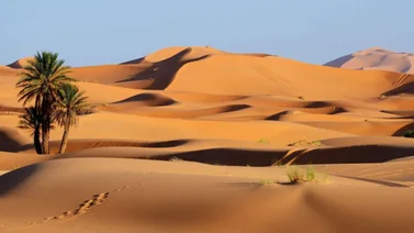 Meteorólogos prevén increíble fenómeno en el Sahara en los próximos días