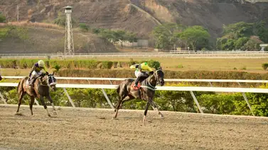 Hija de Manchester reaparece con buenos trabajos este domingo en La Rinconada Hija de Manchester reaparece con buenos trabajos este domingo en La Rinconada