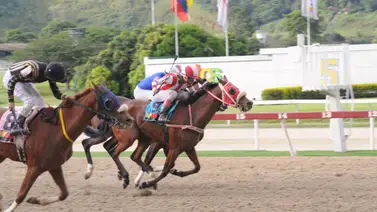 Reaparece en La Rinconada nieta de Water Jet luego de 266 días sin correr en pruebas públicas Reaparece en La Rinconada nieta de Water Jet luego de 266 días sin correr en pruebas públicas