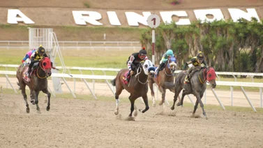 Caballo que tiene mucho chance de ganar reaparece después de 56 días sin correr