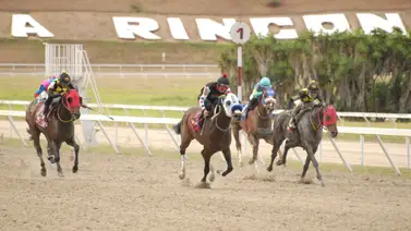 Caballo que tiene mucho chance de ganar reaparece después de 56 días sin correr Caballo que tiene mucho chance de ganar reaparece después de 56 días sin correr