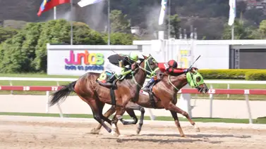Caballo que en su última era dato corrido reaparece el domingo en la reunión 34 Caballo que en su última era dato corrido reaparece el domingo en la reunión 34