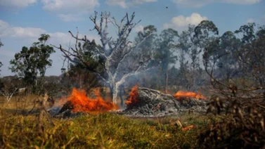 Incendios forestales de Brasil y Colombia afectan la calidad del aire en Venezuela