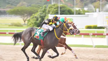 Yegua que puede sorprender en el 5y6 reaparece después de 119 días sin correr Yegua que puede sorprender en el 5y6 reaparece después de 119 días sin correr