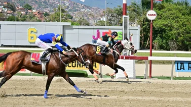 Caballo que su mejor arma es la velocidad reaparece en carrera pareja después de 112 días sin correr