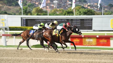 Caballo más costoso de la subasta de Unicria 2021 va a su segunda presentación y viene con excelentes trabajos