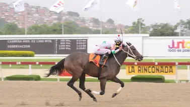 Reaparece en La Rinconada jinete aprendiz sobre el cual hay mucha expectativa Reaparece en La Rinconada jinete aprendiz sobre el cual hay mucha expectativa