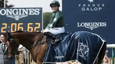 Yoqueta internacional alcanza 1.000 victorias en su carrera Yoqueta internacional alcanza 1.000 victorias en su carrera