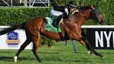 Este es el récord que alcanza Irad Ortiz Jr. al ganar su sexto título en Saratoga