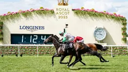 Caballo que costó más de $1.000.000 va de Europa a stakes esta semana en Estados Unidos