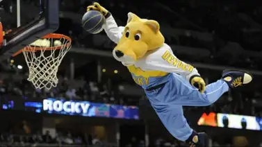 ¡Una millonada! Mira cuanto ganan las mascotas dentro de la NBA ¡Una millonada! Mira cuanto ganan las mascotas dentro de la NBA
