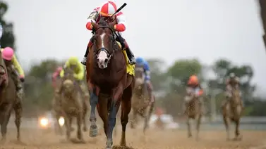 Estos son los 10 mejores sementales debutantes en lo que va de este año 2024 Estos son los 10 mejores sementales debutantes en lo que va de este año 2024