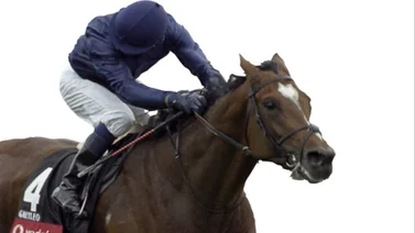 El mejor entrenador del mundo envió 3 caballos a correr esta semana en Estados Unidos