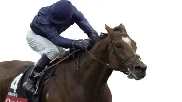 El mejor entrenador del mundo envió 3 caballos a correr esta semana en Estados Unidos El mejor entrenador del mundo envió 3 caballos a correr esta semana en Estados Unidos