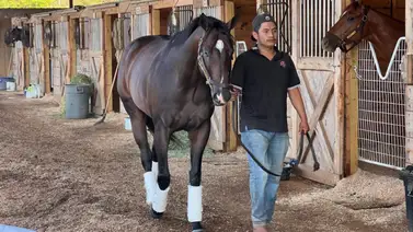 El caballo más rápido del mundo va con Irad Ortiz Jr. esta semana por $2.000.000 en stakes El caballo más rápido del mundo va con Irad Ortiz Jr. esta semana por $2.000.000 en stakes