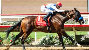 Potra de Bob Baffert de $1.800.000 va por su primer Grado 1
