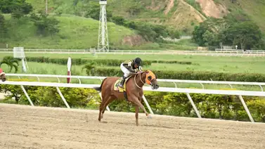 Como ajustó esta yegua puede repetir victoria en carrera pareja de las no válidas Como ajustó esta yegua puede repetir victoria en carrera pareja de las no válidas
