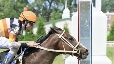 Jockey venezolano sobrepasa las 700 victorias en su carrera en Estados Unidos Jockey venezolano sobrepasa las 700 victorias en su carrera en Estados Unidos