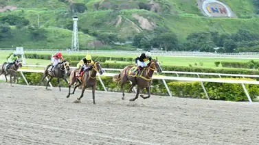 Esta yegua ajusta "clavo" y puede ser la sorpresa del 5y6 en La Rinconada Esta yegua ajusta "clavo" y puede ser la sorpresa del 5y6 en La Rinconada