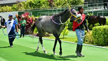 Retirado uno de los fijos en las válidas del 5y6 de la reunión 34 de La Rinconada Retirado uno de los fijos en las válidas del 5y6 de la reunión 34 de La Rinconada