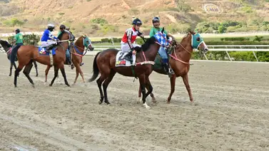 Se registra un nuevo retiro en el ciclo de las no válidas para este domingo en La Rinconada Se registra un nuevo retiro en el ciclo de las no válidas para este domingo en La Rinconada
