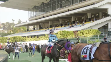 Favoritos de la cátedra para el 5y6 Nacional de la reunión N°34 en el hipódromo La Rinconada
