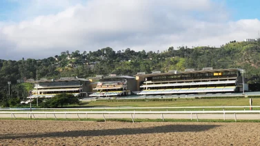 Datos de Última Hora para el Hipódromo Internacional La Rinconada 8-9-2024