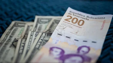 Dólar BCV para hoy viernes 6 de septiembre: Precio oficial según el Banco Central de Venezuela