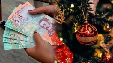 Sistema Patria Bono Navidad