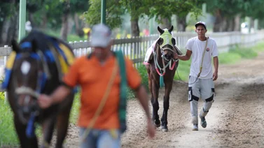Se presenta un retiro de última hora en la carrera de cierre del 5y6 dominical 