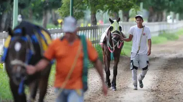 Se presenta un retiro de última hora en la carrera de cierre del 5y6 dominical Se presenta un retiro de última hora en la carrera de cierre del 5y6 dominical