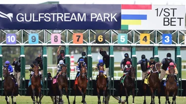 Desde La Rinconada hasta Gulfstream: Todas las carreras se apuestan en MeridianoBet