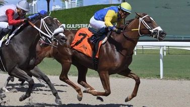 Emisael Jaramillo suma una victoria en el Sunshine Meet de Gulfstream Park