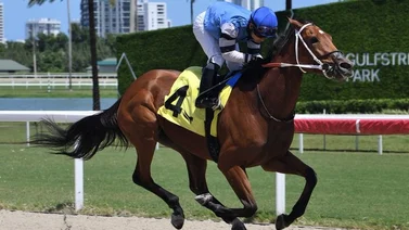 Sonny León gana carrera en el hipódromo de Gulfstrean Park