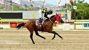 Este domingo galopa hacia la victoria en La Rinconada Este domingo galopa hacia la victoria en La Rinconada