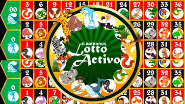 Descubre el mundo de las loterías y animalitos en MeridianoBet