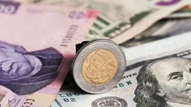 Precio del dólar en México para hoy, 09 de septiembre: Así amaneció el tipo de cambio Precio del dólar en México para hoy, 09 de septiembre: Así amaneció el tipo de cambio