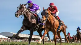Irad Ortiz Jr. gana 5 carreras y empata el segundo en la estadística de este hipódromo