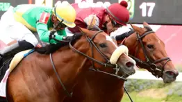 Mychel Sánchez fue el mayor productor en este meeting de Estados Unidos