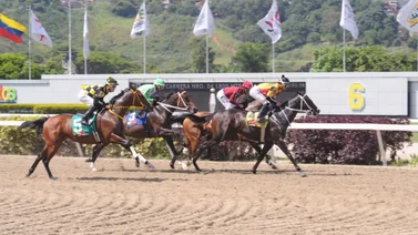Yegua que surge como favorita en el 5y6 reaparece después de 112 días sin correr en La Rinconada