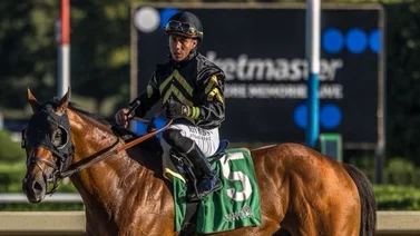 Estas son las montas de Irad Ortiz Jr en los primeros Stakes que dan puntos al Kentucky Derby 2025