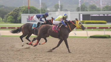 Caballo que en sus últimas ha sido dato reaparece este domingo en La Rinconada