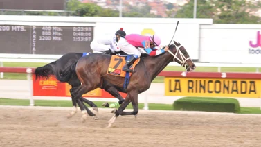 Debuta hijo de un ganador del Simón Bolívar el domingo en La Rinconada