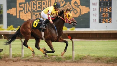 Jockey venezolano duplica y es líder absoluto en este meeting