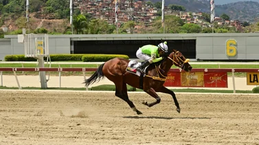 Reaparece nieta de un ganador del Kentucky Derby este domingo en La Rinconada 